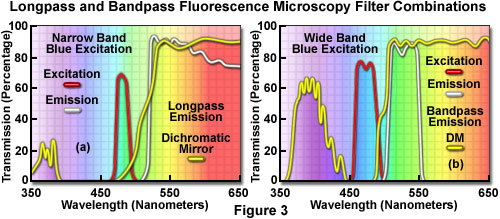 奧林巴斯顯微鏡 interferencefiltersfigure3