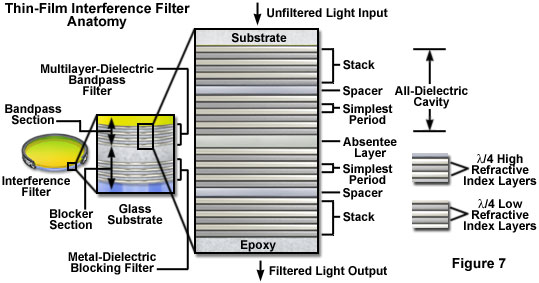 奧林巴斯顯微鏡 interferencefiltersfigure7